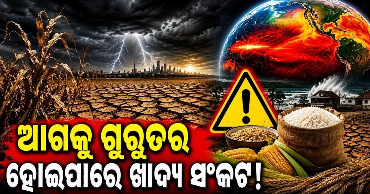 ଖାଦ୍ୟ ଥାଳି ପାଇଁ ମାଡ଼ି ଆସୁଛି ସଙ୍କଟ! ୨୦୨୭ ପାଇଁ କ'ଣ ରହିଛି ଜେପିମୋର୍ଗାନ ପୂର୍ବାନୁମାନ?