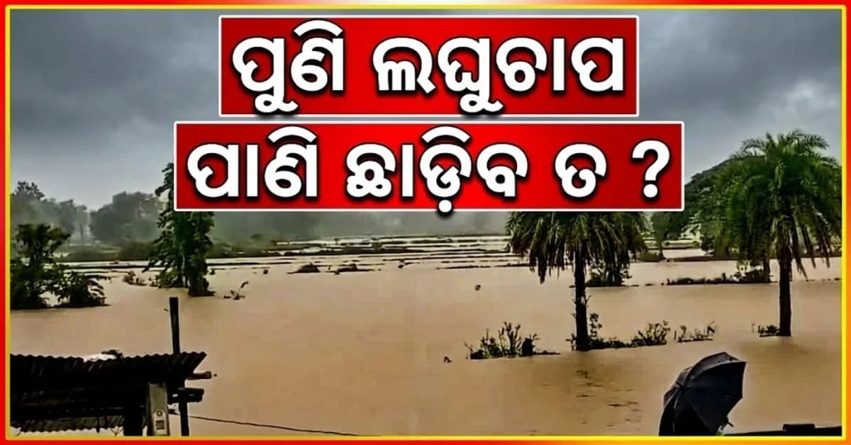 ଆସୁଛି ଆଉ ଏକ ଲଘୁଚାପ; ଉତ୍ତର ଓଡ଼ିଶାକୁ ପୁଣି ବର୍ଷା ସତର୍କତା