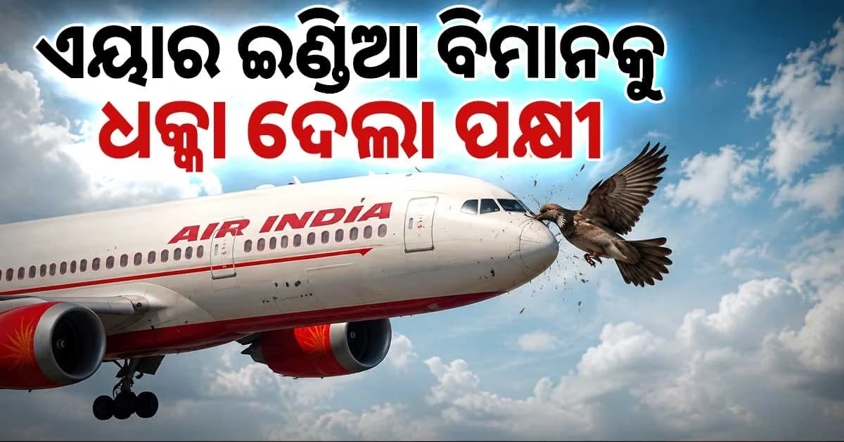 ଦିଲ୍ଲୀରୁ ୧୬୪ ଜଣ ଯାତ୍ରୀଙ୍କୁ ନେଇ ଆସୁଥିବା ଏୟାର ଇଣ୍ଡିଆର ବିମାନକୁ ଧକ୍କା ଦେଲା ପକ୍ଷୀ