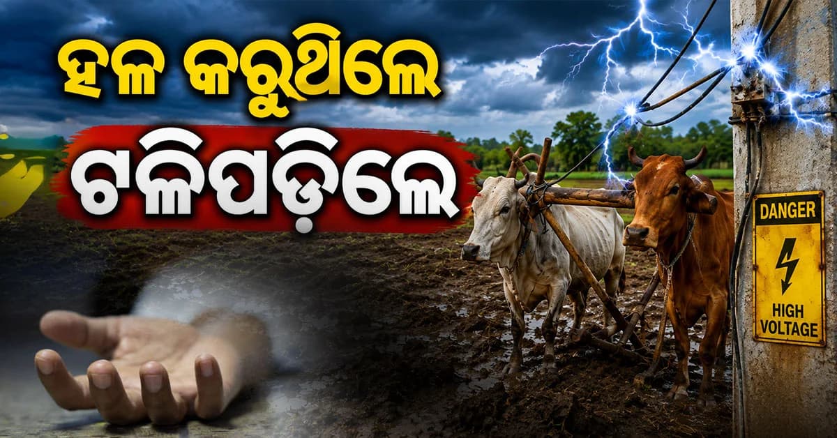 ବିଲରେ ହଳ କଲା ବେଳେ ଅଘଟଣ; ବିଦ୍ୟୁତ୍ ଆଘାତରେ ୨ ଯୁବକ ମୃତ