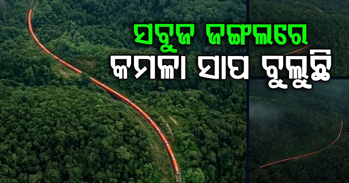 ଉଚ୍ଚ ପର୍ବତ, ଘନ ଜଙ୍ଗଲ, ଏବଂ ଦ୍ରୁତ ଗତି! ଆପଣ ହୁଏତ ଏପରି ଦୃଶ୍ୟ କେବେ ଦେଖିନଥିବେ…ଅଶ୍ୱିନୀ ବୈଷ୍ଣବ ଶେୟାର କଲେ ଭିଡିଓ