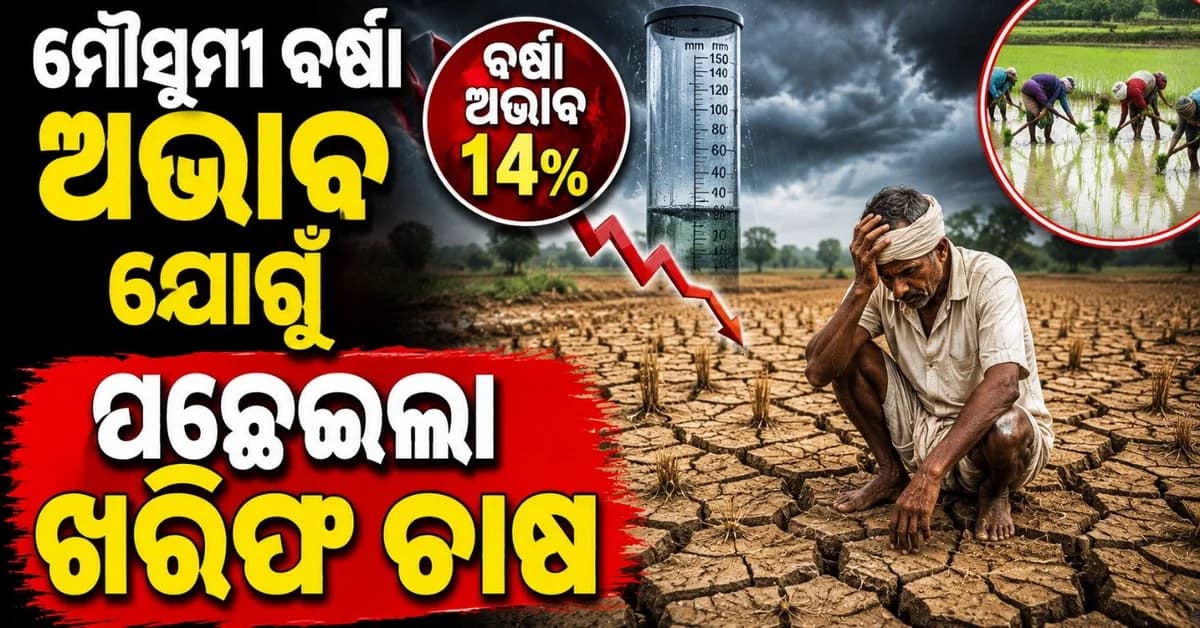 ମୌସୁମୀ ବର୍ଷା ଅଭାବ ୧୪ ପ୍ରତିଶତକୁ ବୃଦ୍ଧି; ଖରିଫ ଫସଲ ବୁଣାବୁଣି ହୋଇଛି ପ୍ରଭାବିତ