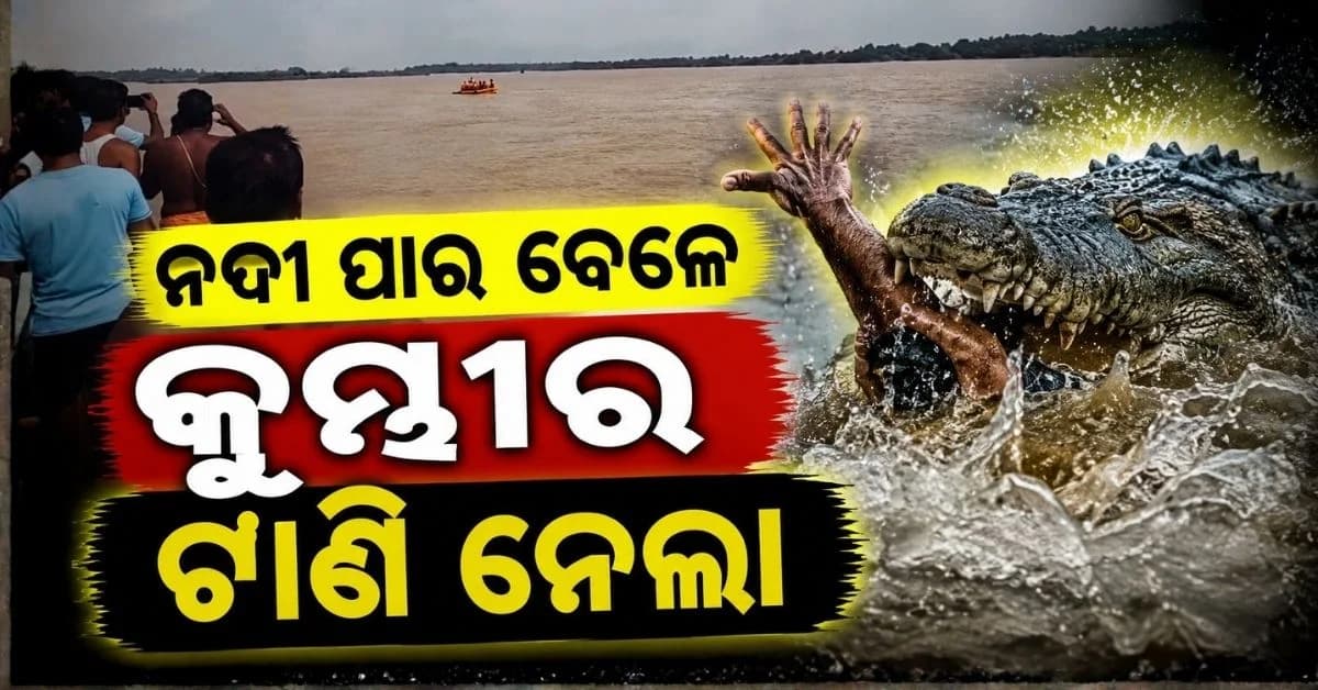ନଦୀ ପାର୍ ବେଳେ ଡଙ୍ଗା ନିକଟରୁ ଜଣଙ୍କୁ ଟାଣି ନେଲା କୁମ୍ଭୀର
