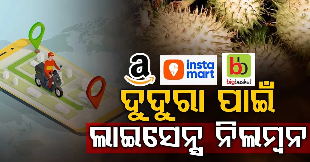 ଆମାଜନ, ଇନଷ୍ଟାମର୍ଟ ଓ ବିଗ୍ ବାସ୍କେଟ୍ ଉପରେ ସରକାରଙ୍କ ଆକ୍ସନ୍