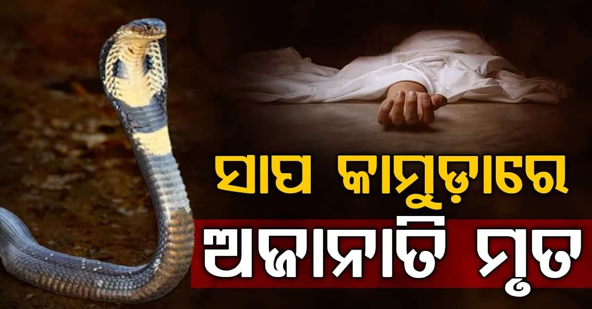 ଘରେ ଶୋଇଥିଲେ ଅଜାନାତି: ବିଷାକ୍ତ ସର୍ପ ନେଲା ଅଜାନାତିଙ୍କ ଜୀବନ