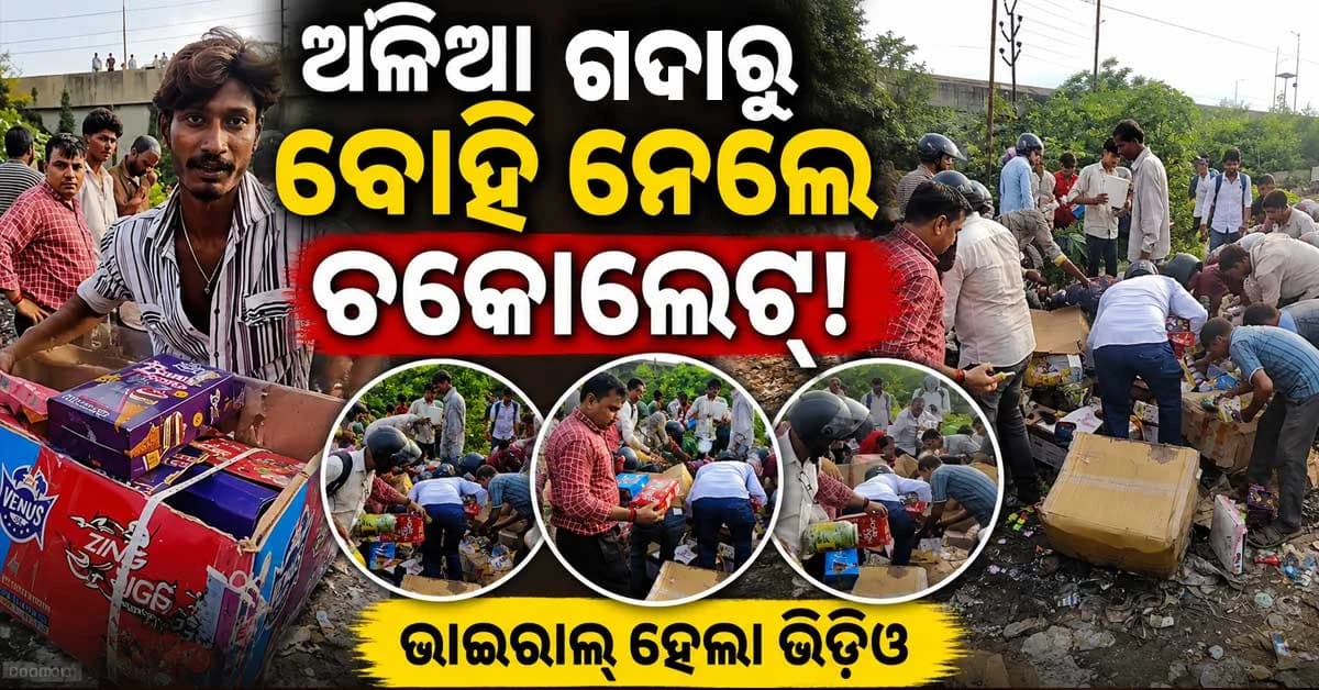 ଡମ୍ପିଂ ସାଇଟ୍ରେ ଚକୋଲେଟ୍ର ପାହାଡ଼, ଉଠାଇନେଲେ ଲୋକେ ଭାଇରାଲ୍ ହେଲା ଭିଡିଓ...