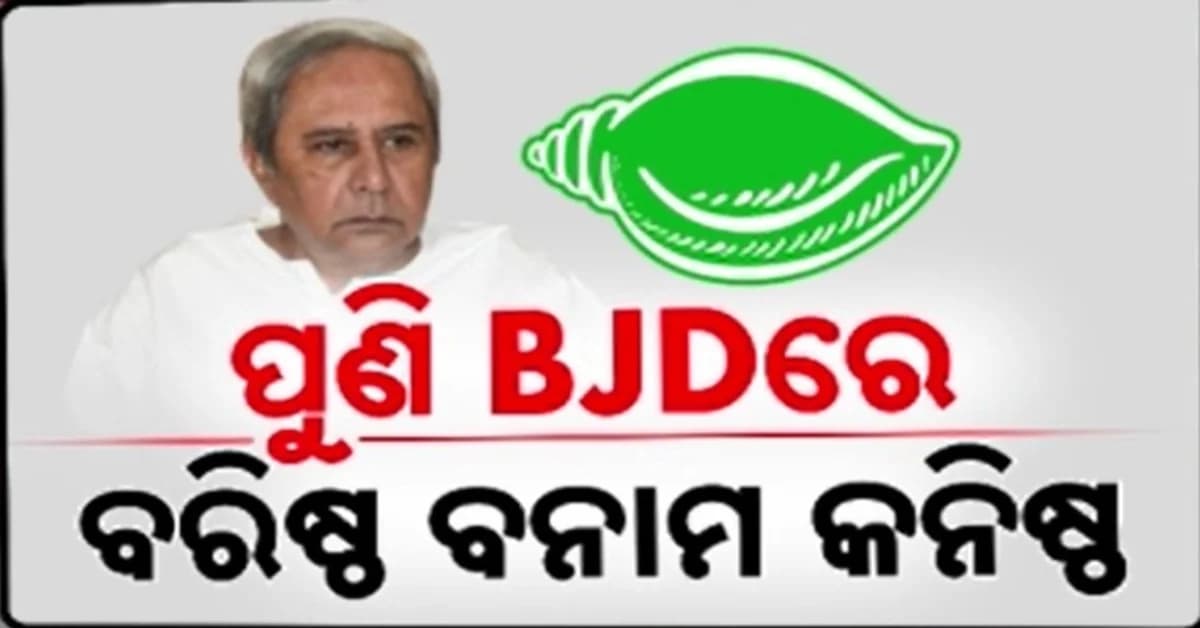 ବିଜେଡିରେ କୋଣଠେସା ହେବେ ବରିଷ୍ଠ ନେତା ! ଯୁବ ବର୍ଗଙ୍କୁ ମିଳିପାରେ ଅଧିକ ଦାୟିତ୍ୱ