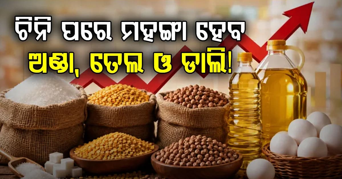 ଚିନି ପରେ ମହଙ୍ଗା ହେବ ଅଣ୍ଡା, ତେଲ ଓ ଡାଲି! ଜାଣନ୍ତୁ କାହିଁକି ବଢୁଛି ଦର...