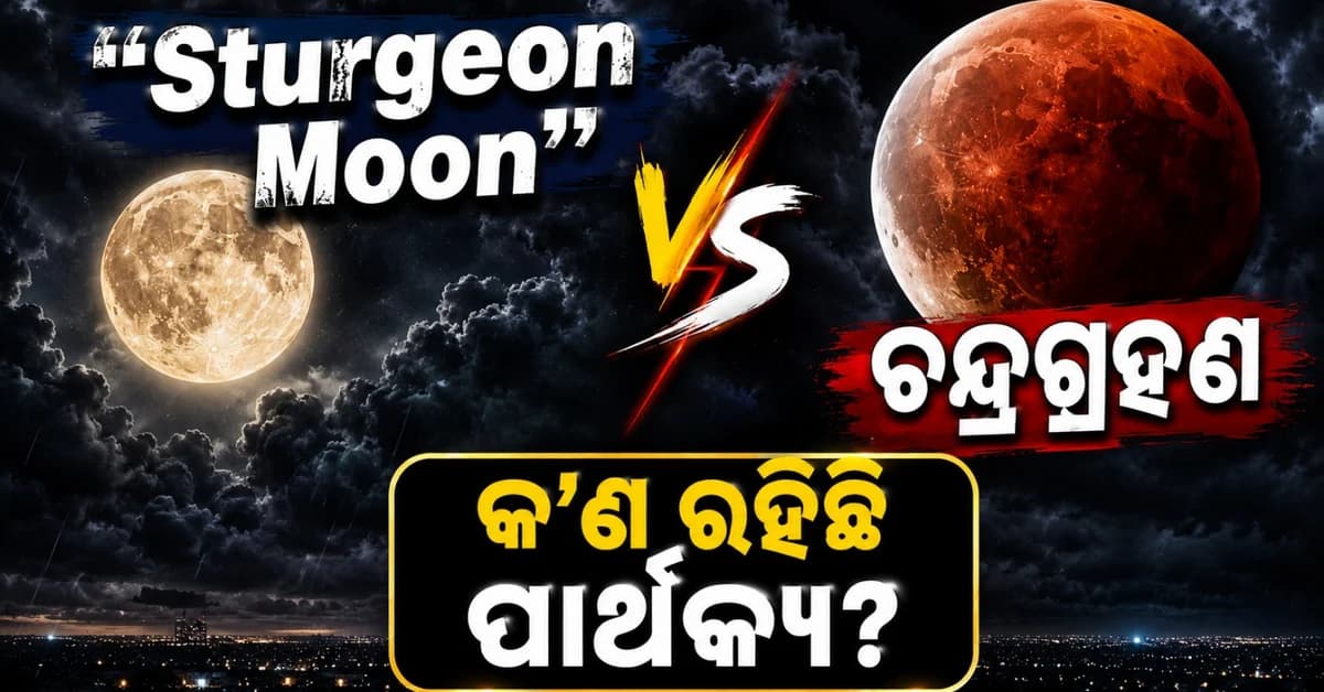'ଷ୍ଟର୍ଜନ ମୁନ୍' ସହିତ ଦୃଶ୍ୟମାନ ହେବ ଆଂଶିକ ଚନ୍ଦ୍ରଗ୍ରହଣ; କ'ଣ ରହିଛି ଉଭୟ ମଧ୍ୟରେ ପାର୍ଥକ୍ୟ?