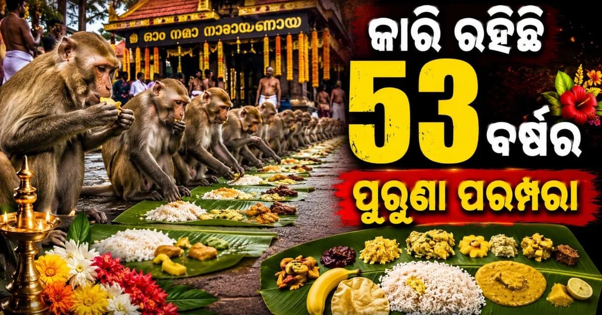 ମଣିଷ ପୂର୍ବରୁ ମାଙ୍କଡ଼ଙ୍କୁ ପରସାଗଲା 'ଓଣମ୍ ସାଧ୍ୟା'; କେରଳମ୍ ମନ୍ଦିରରେ ଦେଖିବାକୁ ମିଳିଲା ୫୩ ବର୍ଷ ପୁରୁଣା ପରମ୍ପରା