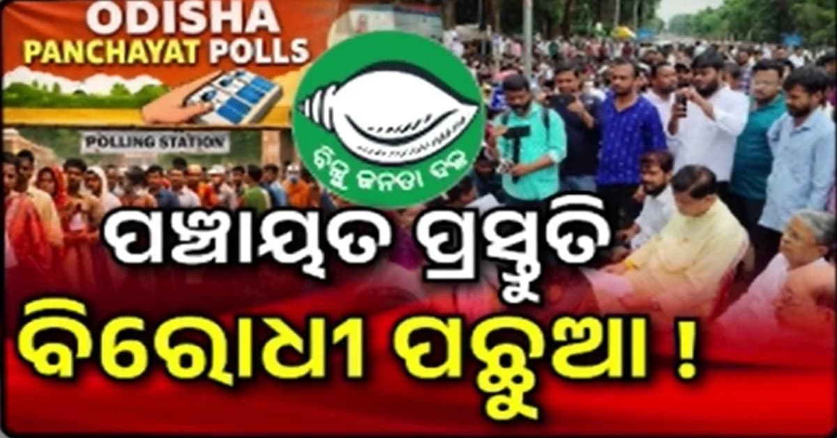 ନୀଳ, ହଳଦିଆ, ଧଳା ଓ ଗୋଲାପୀ ! ପଞ୍ଚାୟତ ଭୋଟରେ ଏମିତି ହେବ ବାଲଟ୍ ପେପର