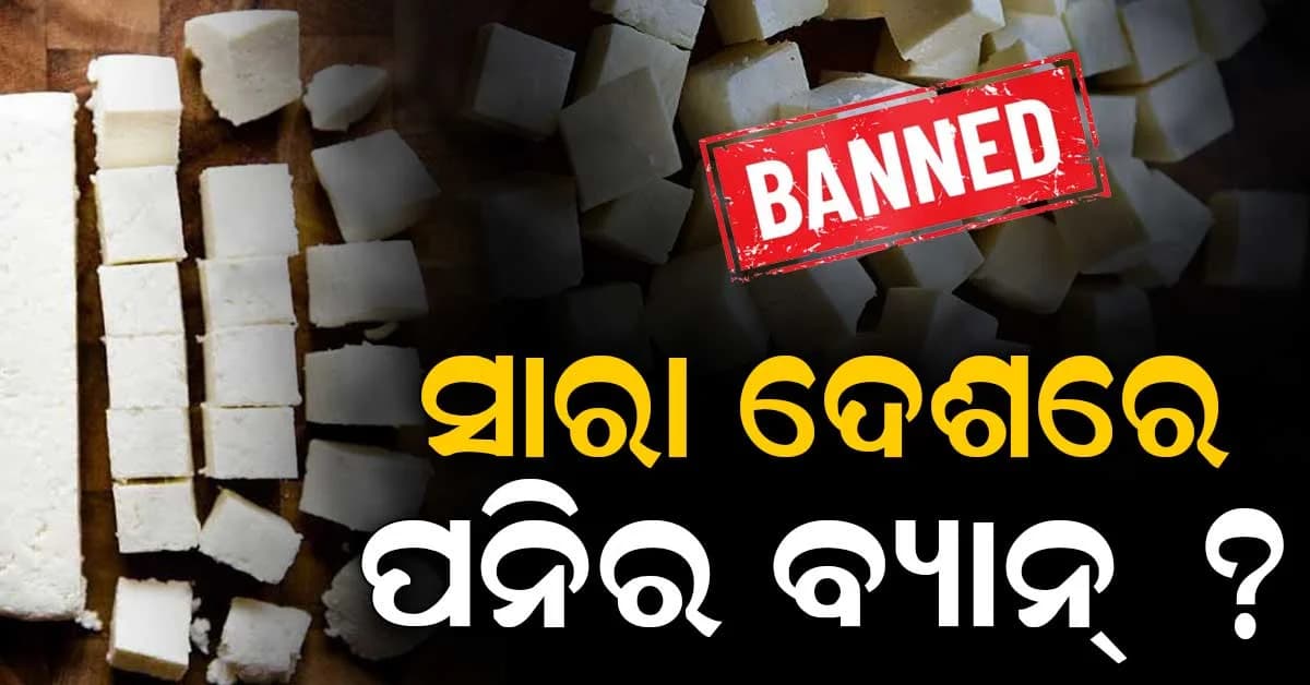 ଆଉ ମିଳିବନି ପନିର: ସରକାରଙ୍କ ବଡ଼ ଘୋଷଣା, ଦେଶରେ ପନିର ବ୍ୟାନ ?