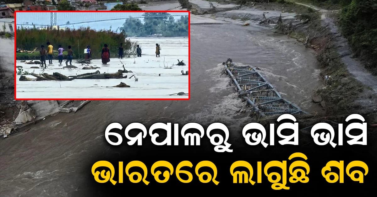 ନେପାଳରୁ ଭାସି ଆସି ଭାରତରେ ଲାଗିଲା ଶବ; ଭିଡିଓ ଦେଖି ଆପଣ ବି ହୋଇଯିବେ ସ୍ତବ୍ଧ