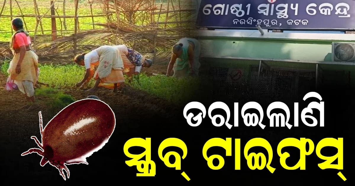 ଅନୁଗୋଳ ପରେ କଟକରେ ଜୀବନ ନେଲା ସ୍କ୍ରବ୍ ଟାଇଫସ୍