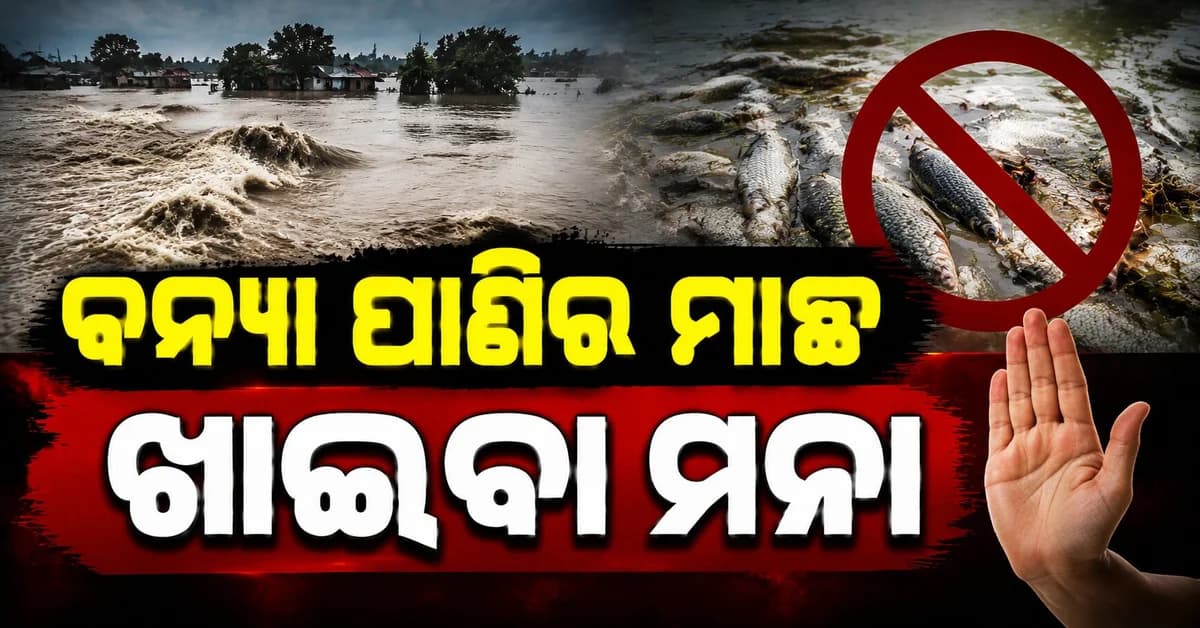 ନେପାଳ ବନ୍ୟାରେ ଭାସିଯାଇଥିବା ମାଛ ଖାଇବାକୁ ବିହାର ସରକାର କାହିଁକି ମନା କରୁଛନ୍ତି ?