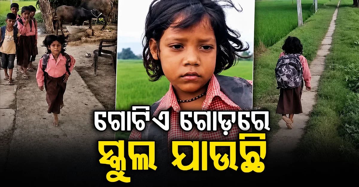 ଗୋଟିଏ ଗୋଡ଼ରେ ୪୦୦ ମିଟର ରାସ୍ତା, ରାଗିଣୀଙ୍କ ସ୍କୁଲ ଯାତ୍ରା ଦେଖିଲେ ଛାତି ଥରିଉଠିବ