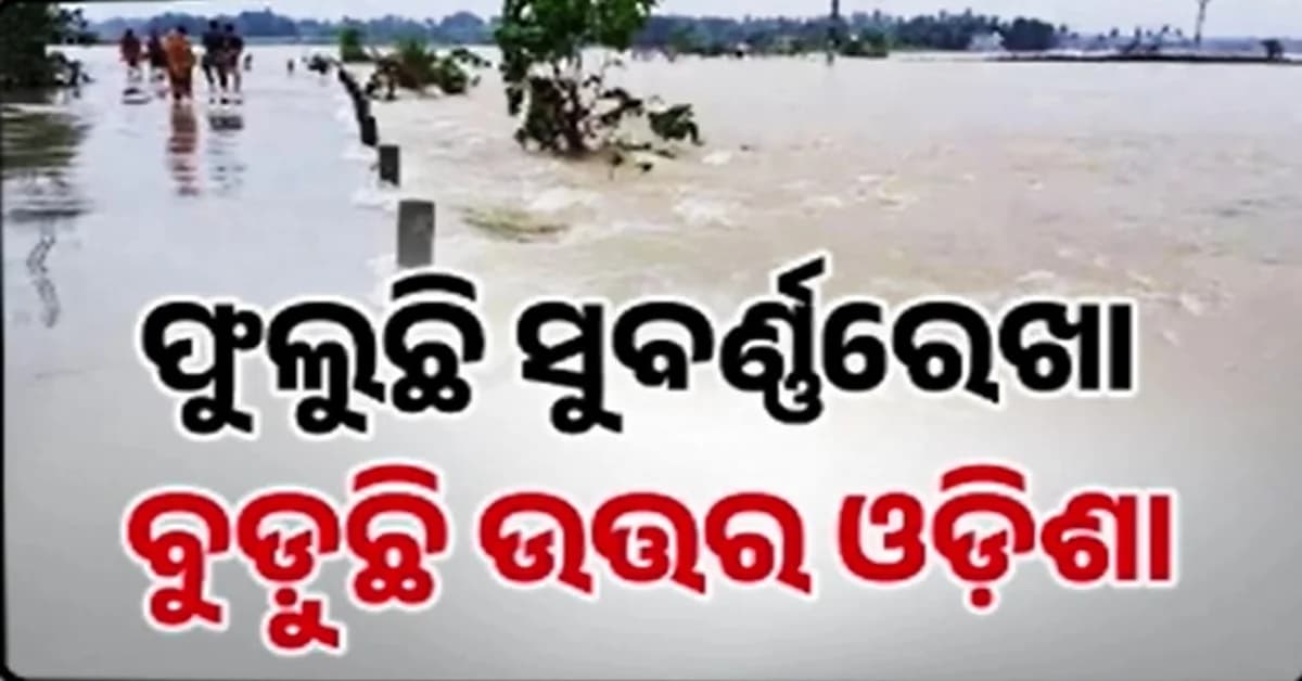ଫୁଲୁଛି ସୁବର୍ଣ୍ଣରେଖା, ବୁଡ଼ୁଛି ଉତ୍ତର ଓଡ଼ିଶା...ବାରମ୍ବାର ବନ୍ୟାରେ ଭାଙ୍ଗୁଛି ଜନଜୀବନ