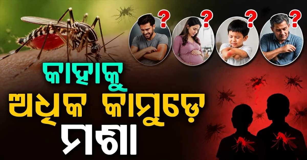 ସବୁ ଲୋକଙ୍କୁ କାମୁଡ଼େନି ମଶା କାହିଁକି କେତେକଙ୍କୁ କରେ ଟାର୍ଗେଟ୍ ଜାଣନ୍ତୁ ରହସ୍ୟ