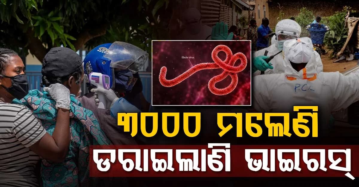 ୩୦୦୦ ମୁଣ୍ଡ ନେଲାଣି ଇବୋଲା; ଏମିତି ବ୍ୟାପେ ଏହି ଘାତକ ଭାଇରସ୍, ଜାଣନ୍ତୁ କିପରି ସୁରକ୍ଷିତ ରହିବେ