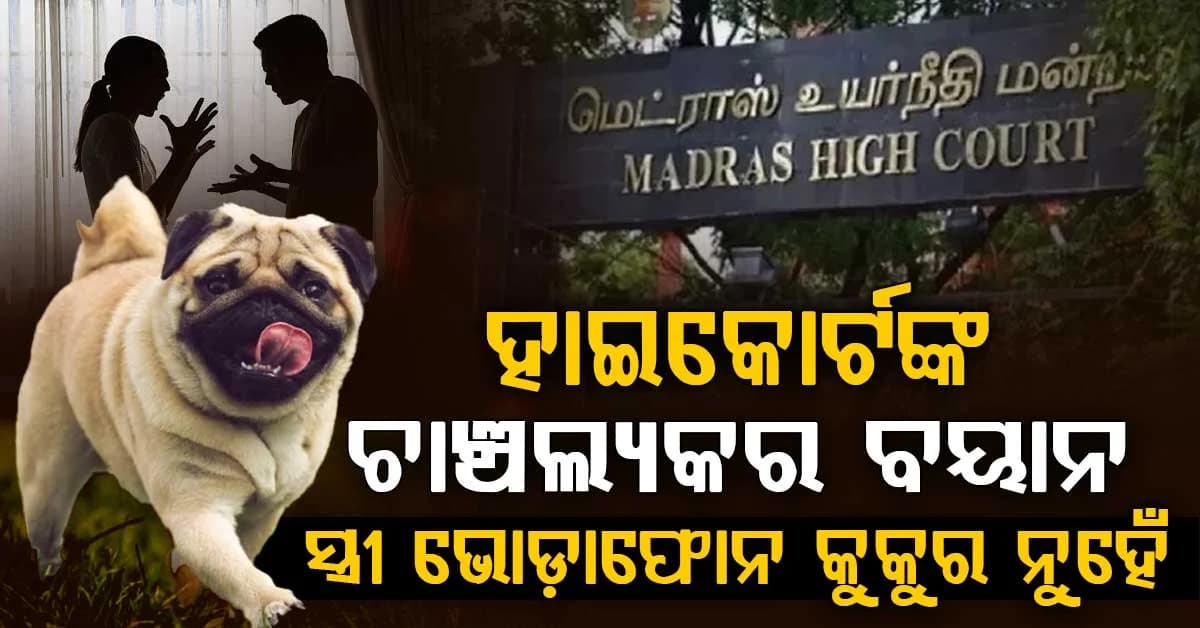 ‘ଭୋଡାଫୋନ୍ କୁକୁର ଭଳି ସ୍ତ୍ରୀ ସ୍ୱାମୀଙ୍କୁ ଅନୁସରଣ କରିବେନି’… ମାଡ୍ରାସ ହାଇକୋର୍ଟଙ୍କ ବଡ଼ ଟିପ୍ପଣୀ