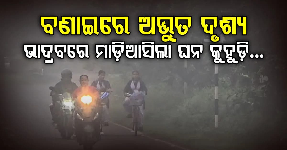 ବଣାଇରେ ପ୍ରକୃତିର ଅଜବ ଖେଳ…ଗୋଟିଏ ପଟେ ବର୍ଷା ଚାଲିଥିବା ବେଳେ ଅନ୍ୟପଟେ ଘୋଟି ଆସିଲା ଘନ କୁହୁଡ଼ି