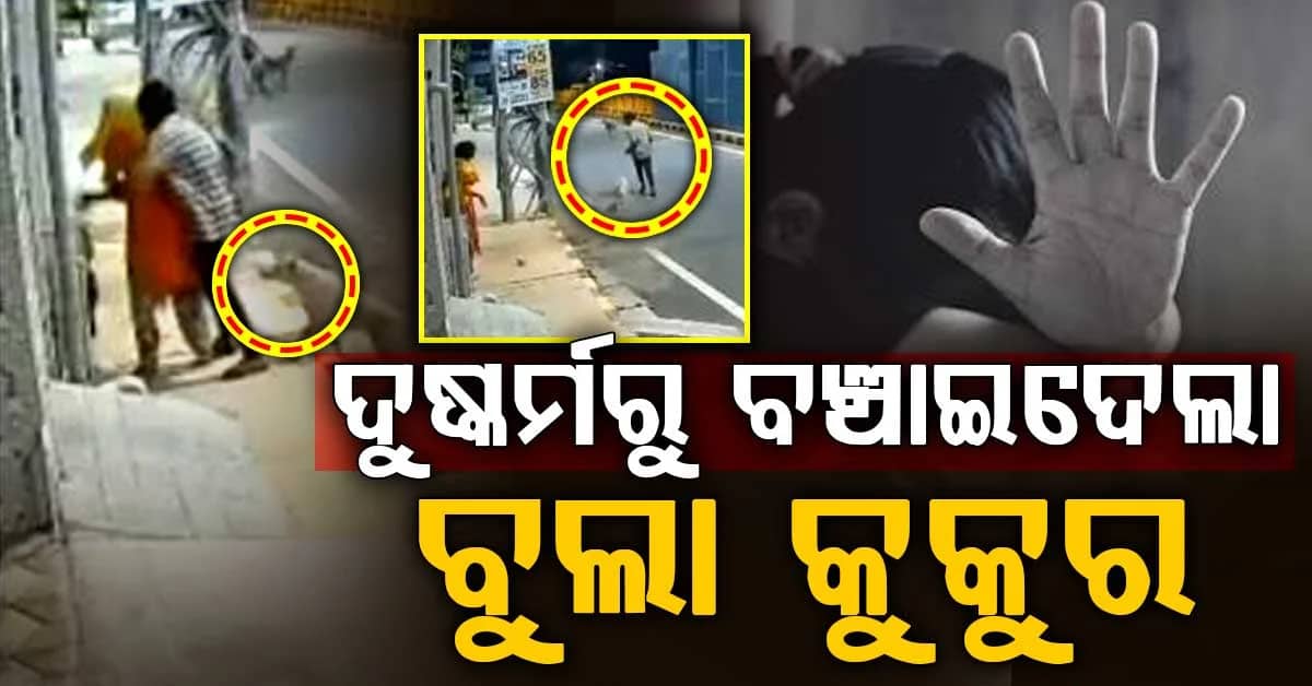 ମାନସିକ ବିକାର ମହିଳାଙ୍କୁ ଦୁଷ୍କର୍ମରୁ ବଞ୍ଚାଇଲା ବୁଲା କୁକୁର; ମଦ୍ୟପ ଯୁବକଙ୍କୁ କଲା ନାକେଦମ