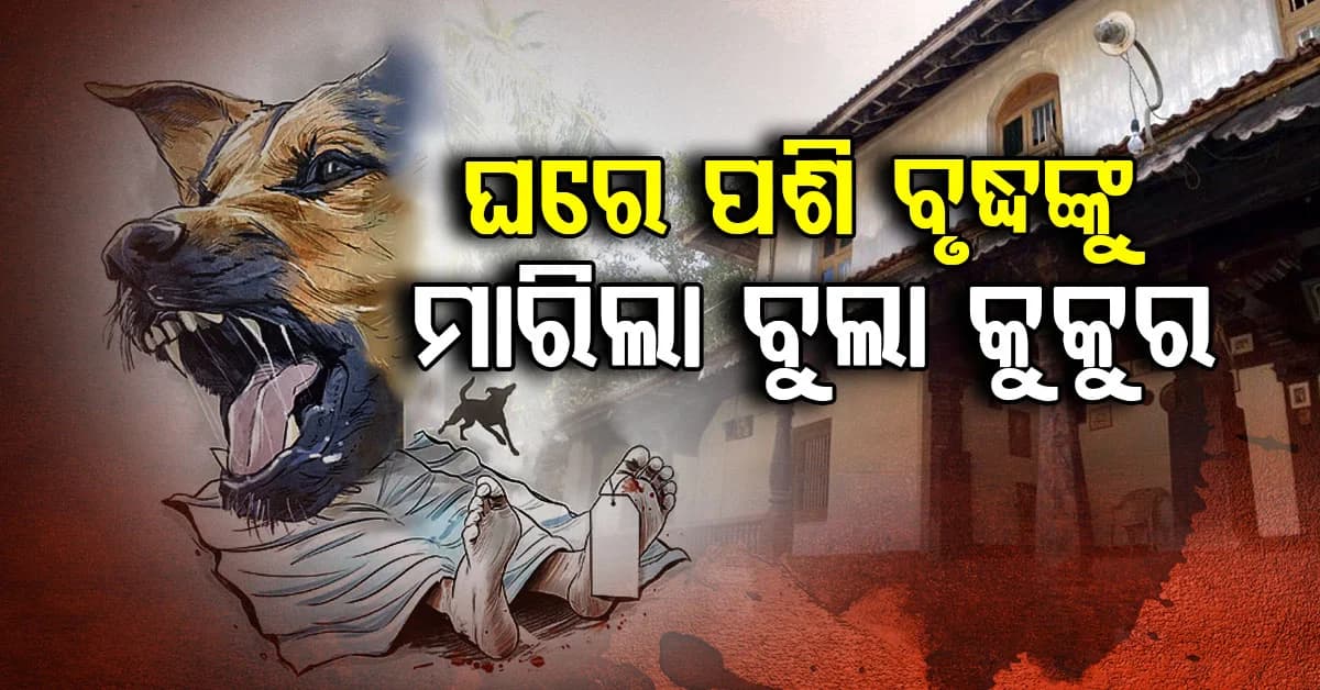 ବେଡ୍ରେ ଶୋଇଥିଲେ ୭୦ବର୍ଷୀୟ ବୃଦ୍ଧ; ଘରେ ପଶି ମାରିଦେଲା ବୁଲା କୁକୁର