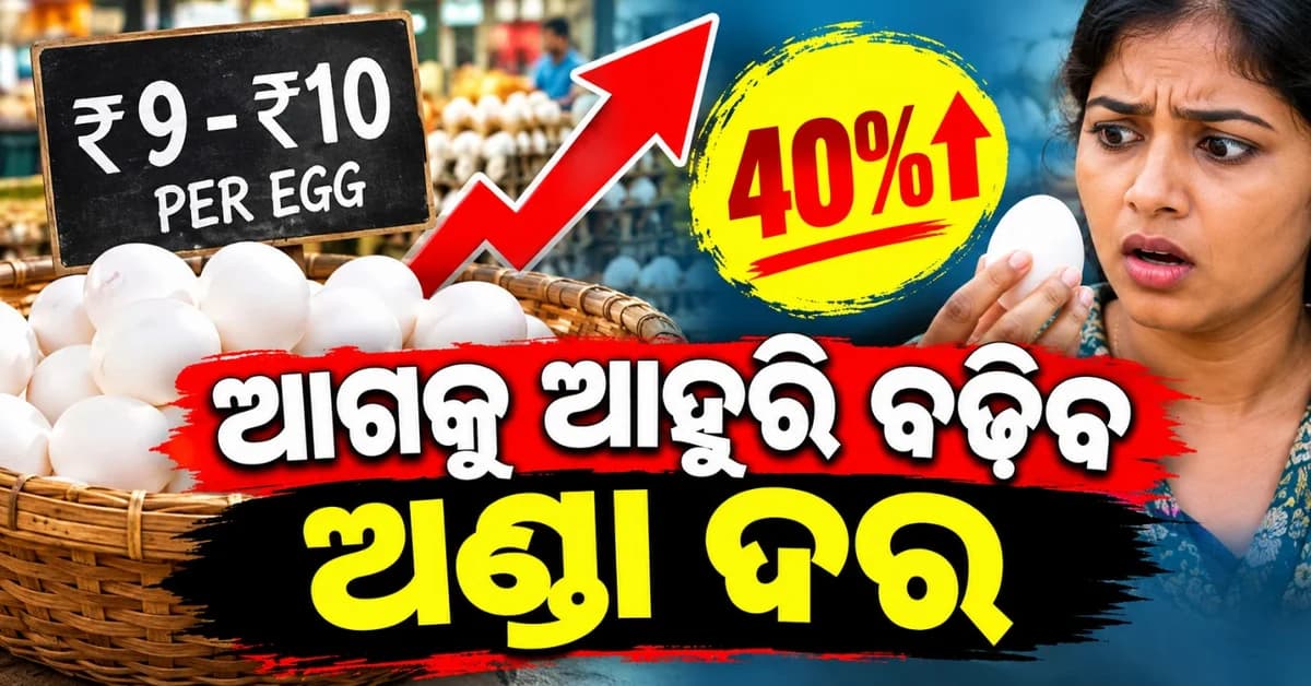 ଚିନି-ପିଆଜ ପରେ ରେକର୍ଡ଼ ଭାଙ୍ଗିଲା ଅଣ୍ଡା ଦର; ବଜାରରେ କେତେ ମହଙ୍ଗା ହେଲା କ'ଣ?