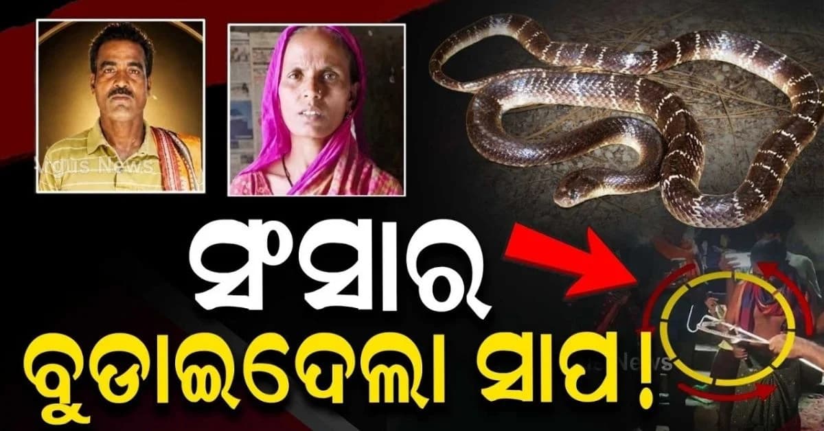 ଗୋଟିଏ ଜୁଇରେ ଜଳିଲେ ସ୍ଵାମୀ, ସ୍ତ୍ରୀ; ଦୁଇ ଛୁଆଙ୍କ ମୁଣ୍ଡ ଉପରୁ ହଟିଗଲା ଛାୟା