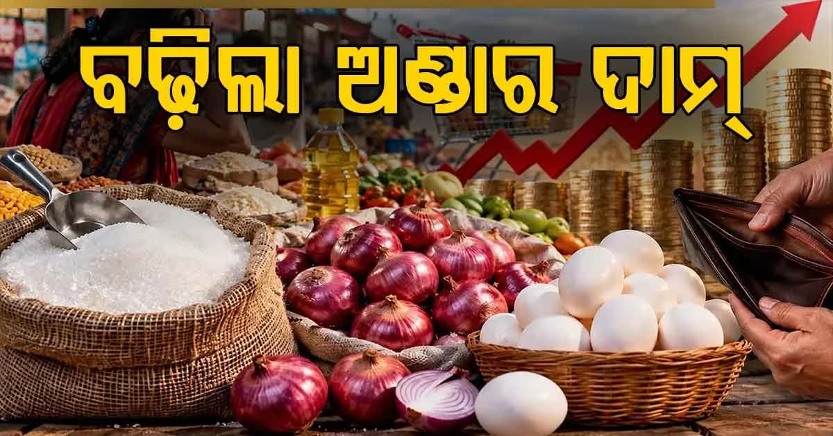 ଚିନି ଏବଂ ପିଆଜ ପରେ ଅଣ୍ଡା ହେଲା ମହଙ୍ଗା: ମୂଲ୍ୟ ବୃଦ୍ଧି ପଛରେ କାରଣ ଜାଣନ୍ତୁ ?