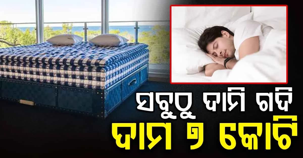 ବିଶ୍ୱର ସବୁଠାରୁ ମହଙ୍ଗା ଗଦି, ତିଆରି କରିବାକୁ ଲାଗେ ୨୫ ଦିନ, କଣ ଏଥିରେ ଖାସ୍