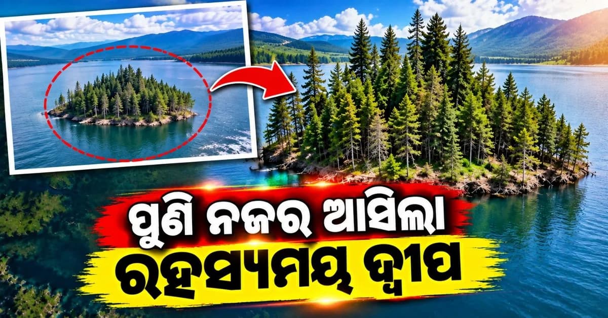 ଜଳଭଣ୍ଡାରରେ ମିଳିଲା ରହସ୍ୟମୟ ଦ୍ୱୀପ; ଆଶ୍ଚର୍ଯ୍ୟ ଚକିତ ହୋଇଗଲେ ବୈଜ୍ଞାନିକ