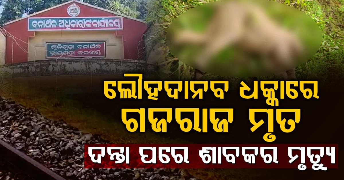 ରେଳଧାରଣାରେ ଗଜରାଜଙ୍କ ମୃତ୍ୟୁ…ଟ୍ରେନ୍ ଧକ୍କାରେ ଦନ୍ତା ମୃତ, କରଞ୍ଜିଆରେ ହାତୀ ଛୁଆ ମୃତ