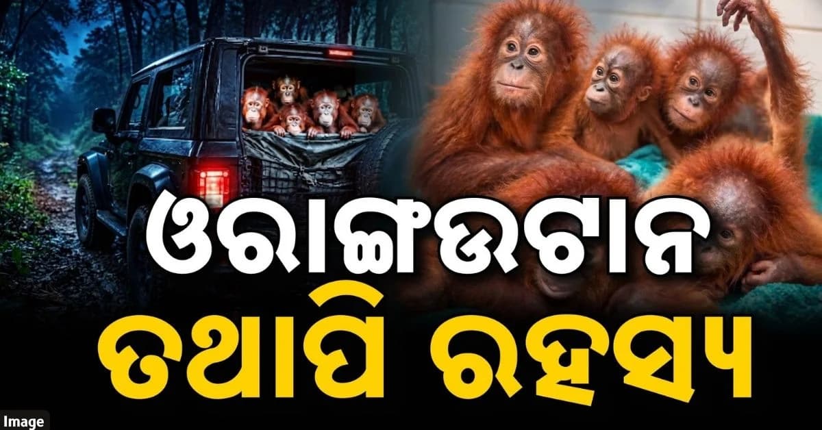 ବାଲେଶ୍ଵରରୁ ଦୀଘା, କୋଲକାତା ଯାଏଁ ଲମ୍ବିଛି ତସ୍କରୀ ଲିଙ୍କ୍; ୫୦ ହୋଟେଲ ସିସିଟିଭି ଯାଞ୍ଚ