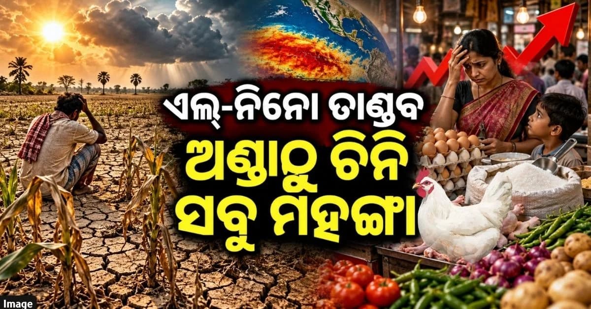 ମୌସୁମୀ ଋତୁରେ ଏଲ୍-ନିନୋ ଯୋଗୁଁ କମ୍ ବର୍ଷା; ବଜାରରେ ଦେଖାଗଲା ପ୍ରଭାବ