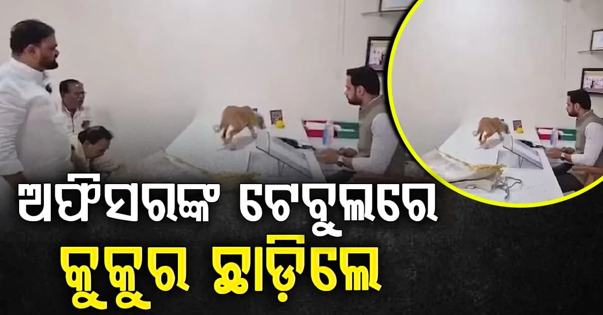 ଅଫିସରଙ୍କ ଟେବୁଲରେ ଛାଡ଼ିଲେ କୁକୁର, ଜାଣନ୍ତୁ କଣ ଏହାର କାରଣ ?