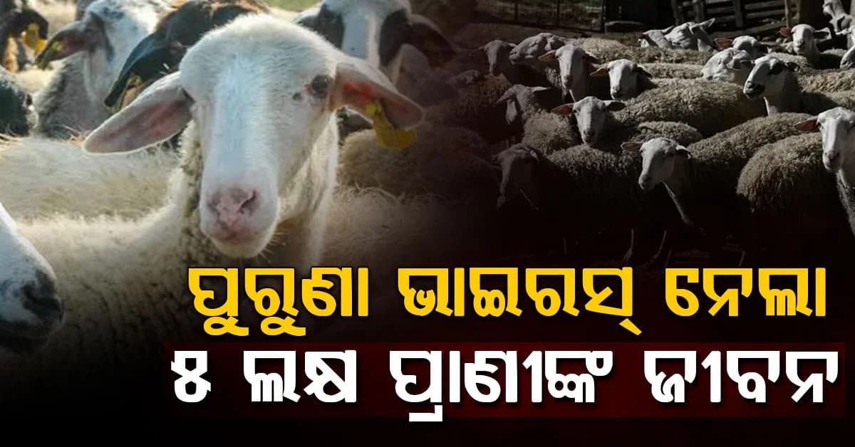ପୁସ୍ତକରୁ ମିଳିଲା ସତ: 3,700 ବର୍ଷ ପୁରୁଣା ଭାଇରସ, 500,000 ପ୍ରାଣୀଙ୍କୁ ମାରିଦେଲା