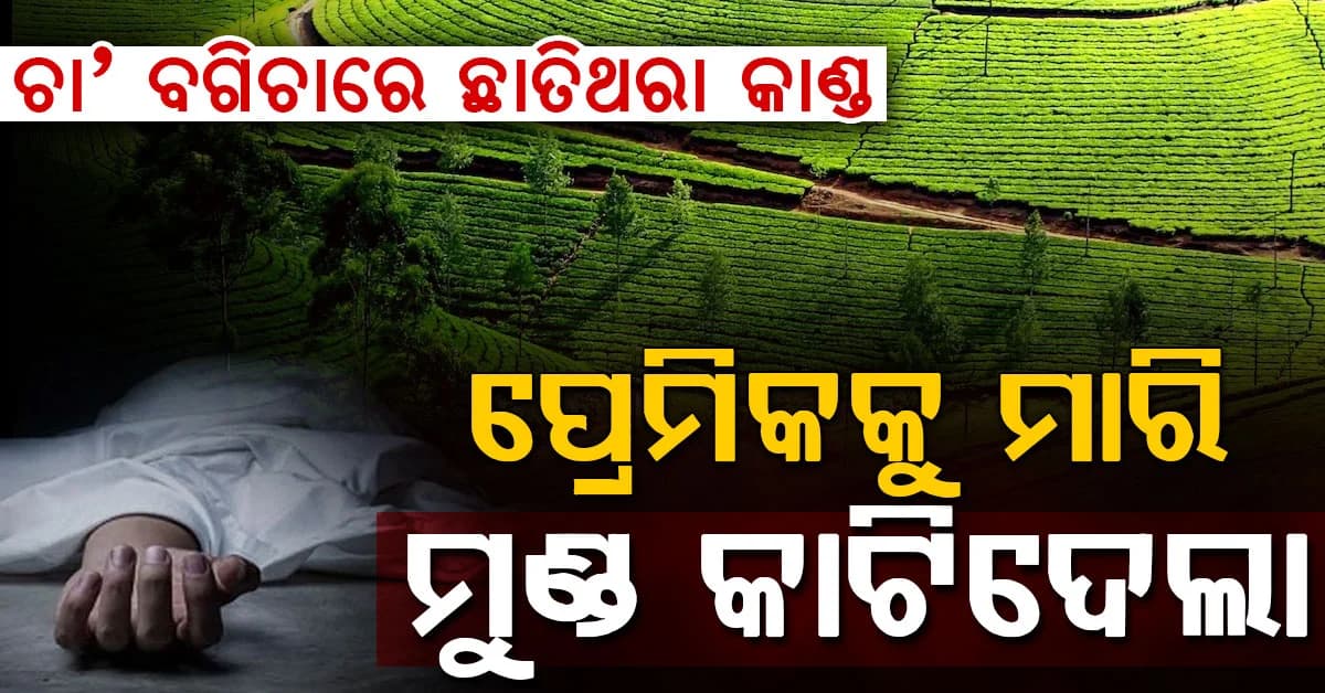 ପ୍ରେମିକଙ୍କୁ ଚା’ ବଗିଚାକୁ ଡାକି ବୀଭତ୍ସ ହତ୍ୟା…୩ ଜଣଙ୍କ ସହ ମିଶି ମୁଣ୍ଡ କାଟିଦେଲା ପ୍ରେମିକା
