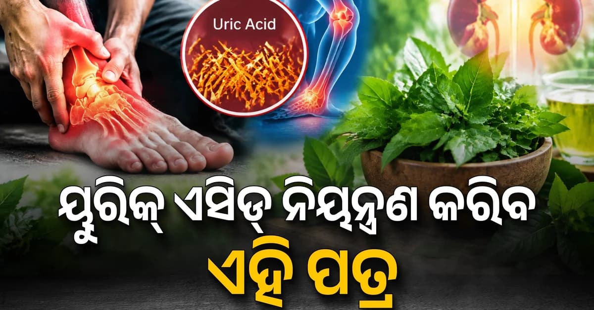 ଗୋଇଠି ଯନ୍ତ୍ରଣାରୁ ୟୁରିକ୍ ଏସିଡ୍ ପର୍ଯ୍ୟନ୍ତ, ଏହି ଆୟୁର୍ବେଦିକ ଉପାୟ ଦେଇପାରେ ଆରାମ