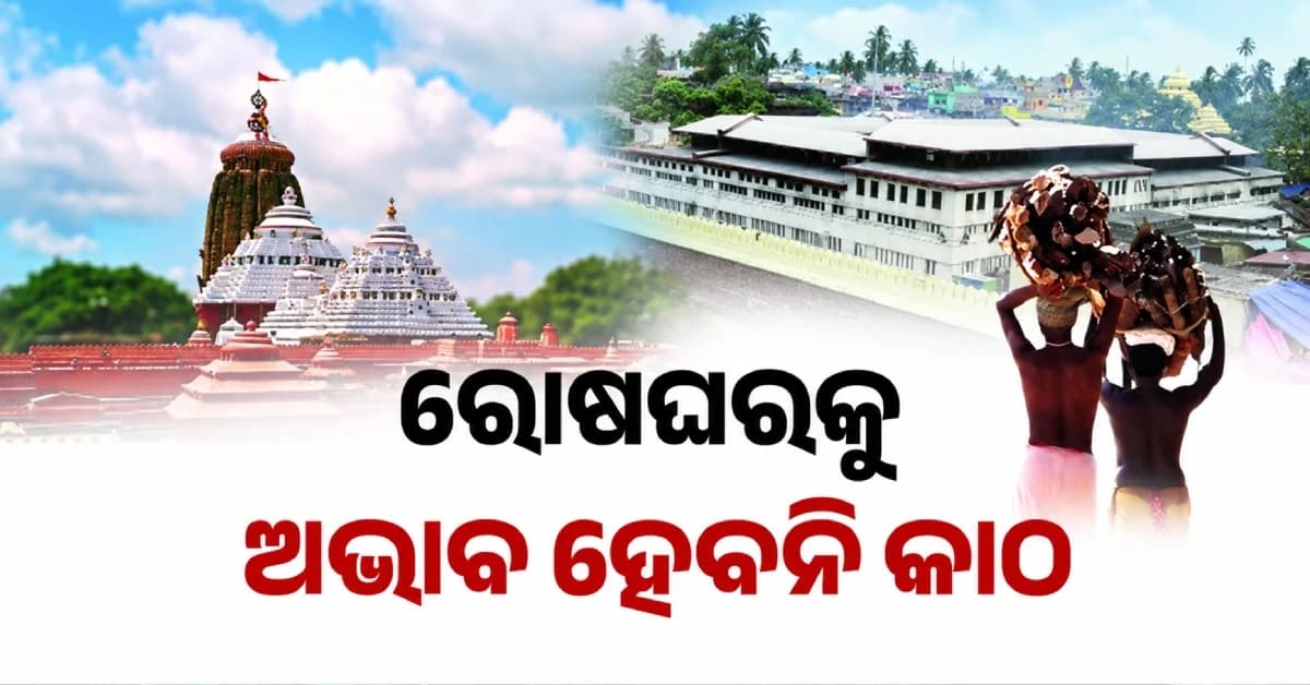ଶ୍ରୀମନ୍ଦିର ରୋଷଘରରେ କାଠ ସଙ୍କଟ! କାର୍ତ୍ତିକ ପୂର୍ବରୁ ସରକାରଙ୍କ ବଡ଼ ପଦକ୍ଷେପ