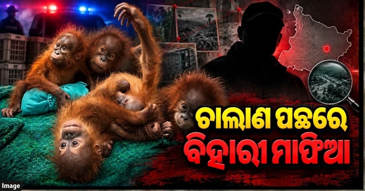 କ୍ରାଇମବ୍ରାଞ୍ଚ STF ହାତରେ ବଡ଼ ସୁରାକ୍; ପଶ୍ଚିମବଙ୍ଗ ପରେ ବିହାରରେ ରେଡ୍