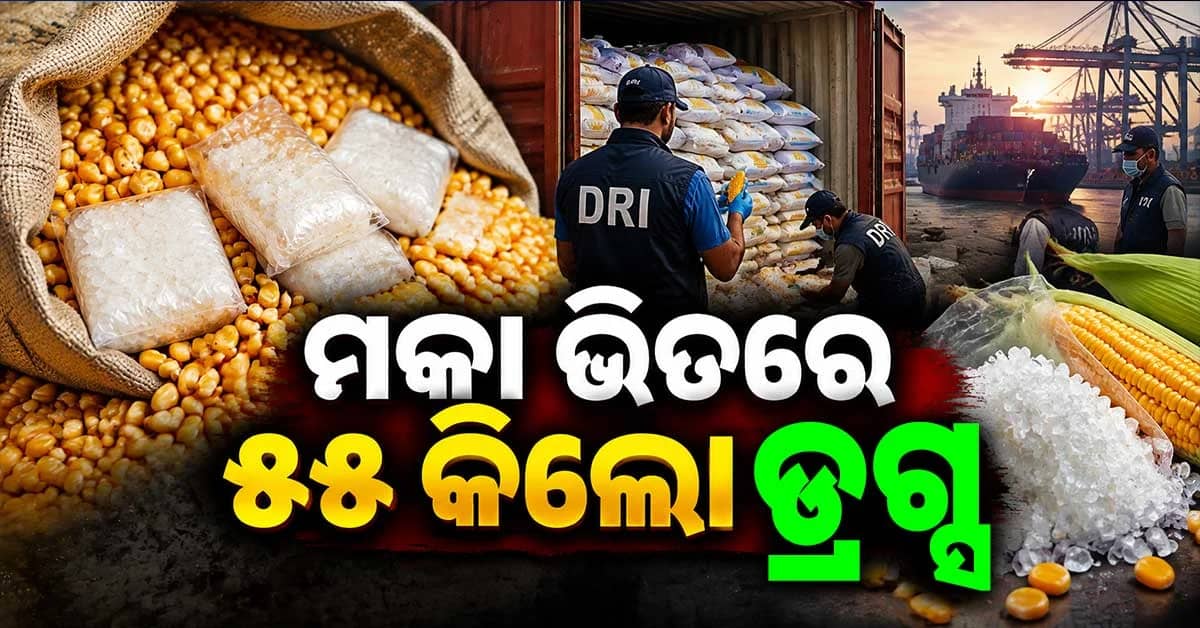 ୨୨ ଟନ୍ ମକା ଚାଲାଣରେ ଲୁଚାଇ ହେଉଥିଲା ଡ୍ରଗ୍ସ ଚାଲାଣ, ମୁଜଫ୍ଫରପୁରରୁ ଜଣେ ଗିରଫ
