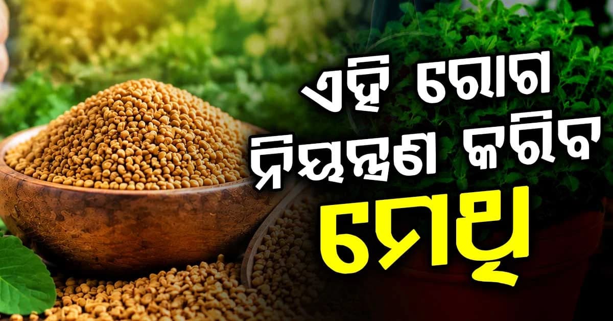 ମଧୁମେହ ରୋଗୀଙ୍କ ପାଇଁ ମେଥି କାହିଁକି ଜରୁରୀ ? ଜାଣନ୍ତୁ ଫାଇଦା...
