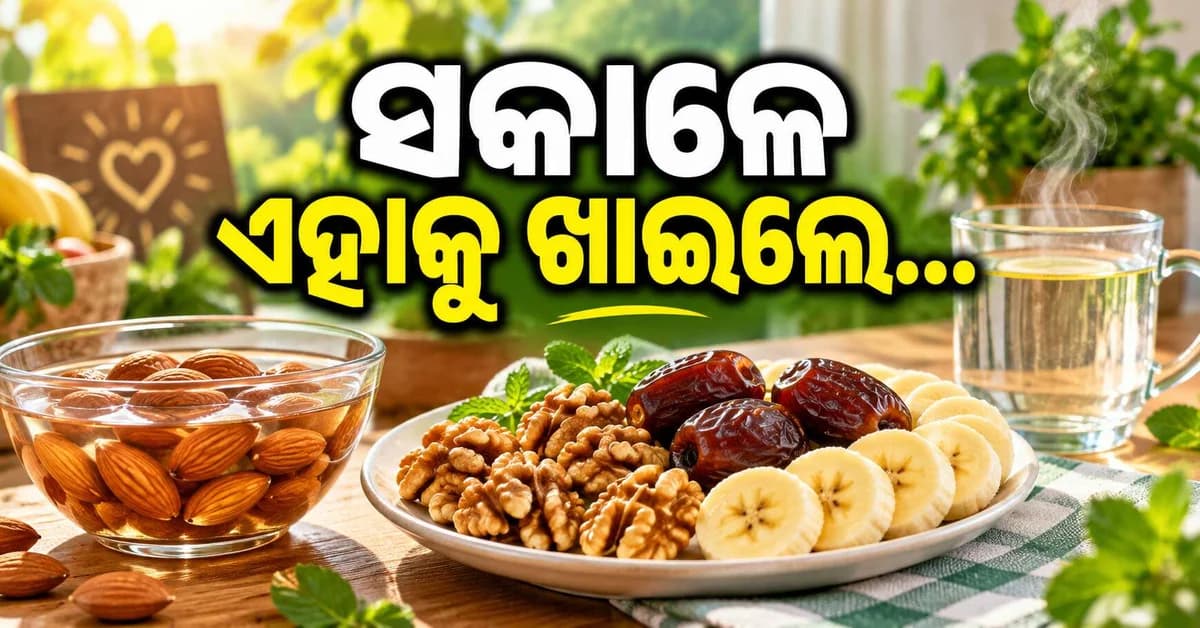 ସକାଳ ଜଳଖିଆରେ ସାମିଲ କରନ୍ତୁ ଏହି ଖାଦ୍ୟ, ଦିନସାରା ରହିବେ ସତେଜ
