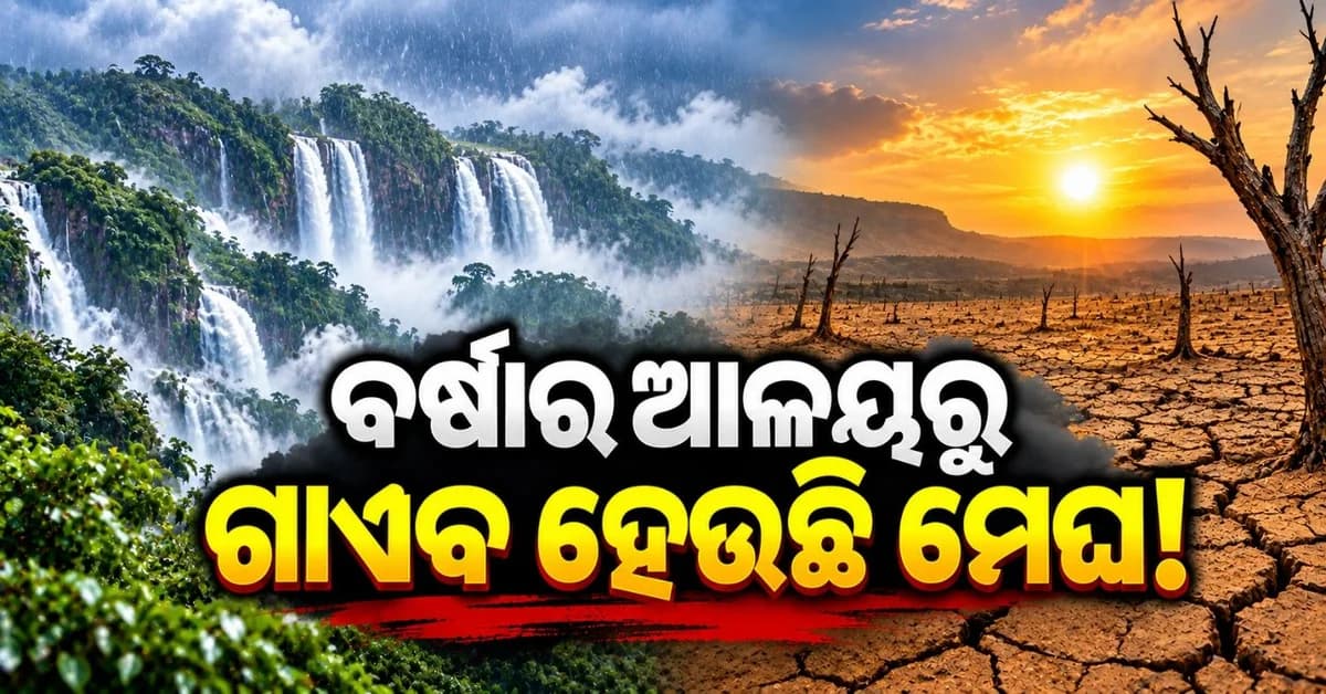 ବିଶ୍ୱର ସର୍ବାଧିକ ବର୍ଷା ବହୁଳ ଅଞ୍ଚଳରେ ଘାରିଲା ମରୁଡ଼ି ଚିନ୍ତା! ଜଳବାୟୁ ପରିବର୍ତ୍ତନର ଦେଖିବାକୁ ମିଳିଲା ପ୍ରଭାବ