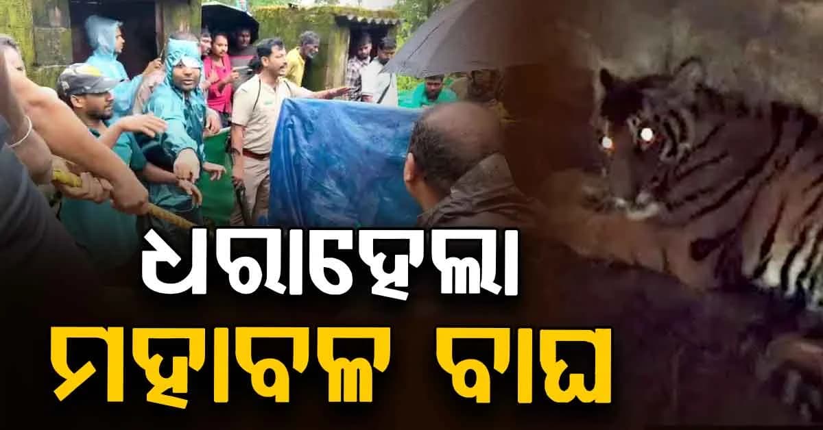 ଦୀର୍ଘ ୧୩ ଘଣ୍ଟାର କସରତ ପରେ ଉଦ୍ଧାର ହେଲା ମହାବଳ, ଖେଳାଇଥିଲା ଆତଙ୍କ