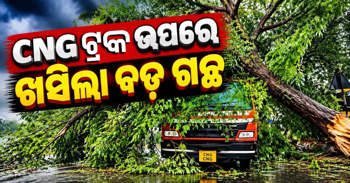 CNG ସିଲିଣ୍ଡର ବୋଝେଇ ଟ୍ରକ୍ ଉପରେ ଭାଙ୍ଗି ପଡ଼ିଲା ବଡ଼ ଗଛ ଅଉ ତା'ପରେ...