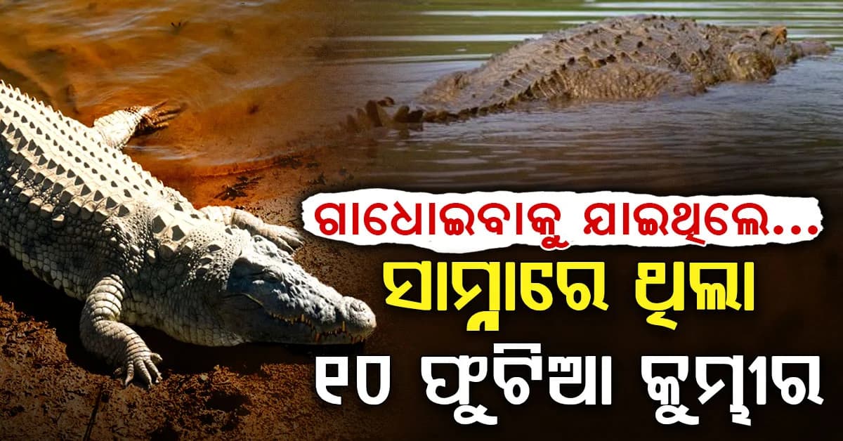 ନଦୀରେ ଗାଧୋଇବାବେଳେ ଦେଖାଗଲା ୧୦ ଫୁଟିଆ କୁମ୍ଭୀର...ଆଉ ତା'ପରେ