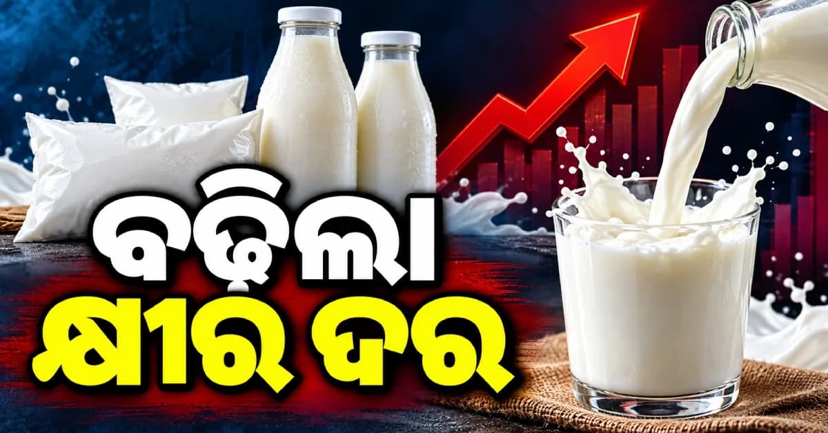ବଢ଼ିଲା ଓମଫେଡ୍ କ୍ଷୀର ଦର, ଲିଟର ପିଛା ୨ରୁ ୪ ଟଙ୍କା ବୃଦ୍ଧି...ଆଜିଠୁ ନୂଆ ଦର ଲାଗୁ