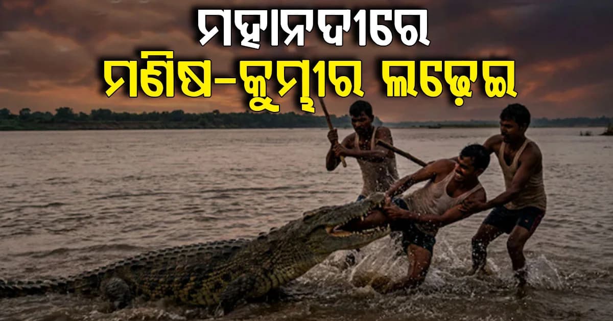 କାମୁଡି ଧରିଥିଲା କୁମ୍ଭୀର; ଦେଢ ଘଣ୍ଟା ସଂଘର୍ଷ ପରେ ଜୀବନ ନେଇ ଫେରିଲେ ଯୁବକ